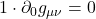 1 \cdot \partial_0 g_{\mu \nu} = 0