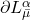 \partial L^{\alpha}_{\bar{\mu}}