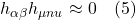 h_{\alpha \beta} h_{\mu nu} \approx 0  \quad \text{(5)}