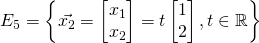 E_{5}=\left\{\vec{x_2} = \begin{bmatrix} x_1\\x_2 \end{bmatrix}=t\begin{bmatrix}1\\2\end{bmatrix},t\in\mathbb{R} \right\}