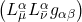 \bigl( L^{\alpha}_{\bar{\mu}} L^{\alpha}_{\bar{\nu}} g_{\alpha \beta} \bigr)