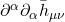 \partial^\alpha \partial_\alpha \bar{h}_{\mu \nu}
