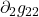 \partial_2 g_{22}