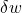 \delta w