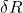 \delta R