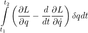 \displaystyle\int\limits_{t_1}^{t_2}\left(\frac{\partial L}{\partial q}-\frac{d}{dt}\frac{\partial L}{\partial \dot{q}}\right)\delta q dt