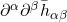 \partial^\alpha \partial^\beta \bar{h}_{\alpha \beta}
