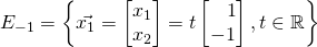 E_{-1}=\left\{\vec{x_1} = \begin{bmatrix} x_1\\x_2 \end{bmatrix}=t\begin{bmatrix}\,\,\,\,\,1\\-1\end{bmatrix},t\in\mathbb{R} \right\}