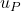 u_P