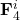 \mathbf{F}^i_4