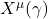 X^{\mu}(\gamma)