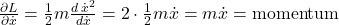 \frac{\partial L}{\partial \dot{x}} = \frac12 m \frac{d\, \dot{x}^2}{d \dot{x}}=2\cdot\frac12 m \dot{x} = m \dot{x} = \text{momentum}