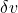 \delta v