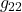 g_{22}