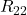 R_{22}