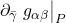 \partial_{\bar{\gamma}} \eval{g_{\alpha \beta}}_P