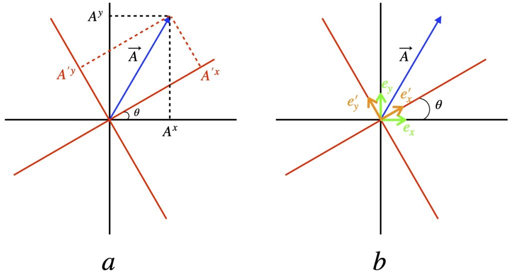 Effect of rotation on vector components and bases in Euclidean space
