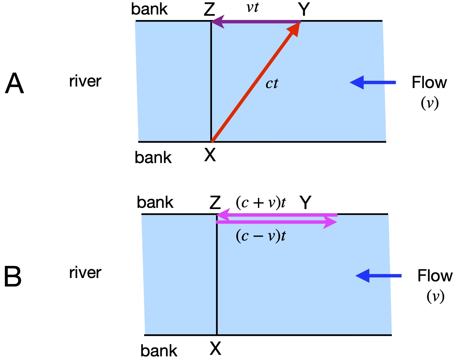Michelson-Morley theory illustrated with swimmers in a river