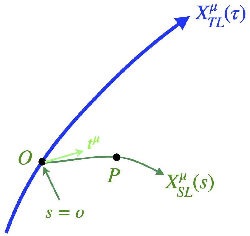 Spacelike geodesic containing point P